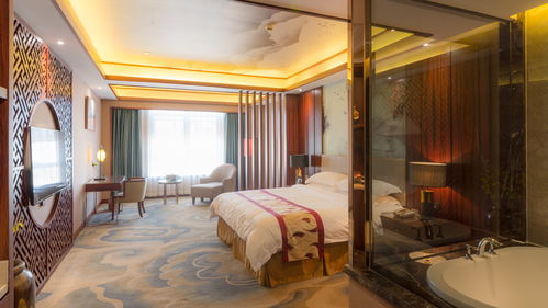 酒店環(huán)境攝影與攝像服務(wù) 打造視覺體驗的藝術(shù)